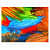Mix Color Strokes Digital Painting - rear_view