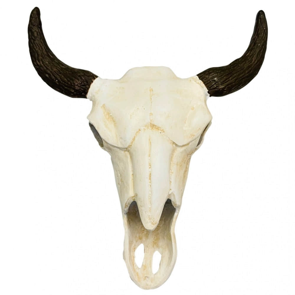Wall Mounted Bull Skull Head (White) - photo