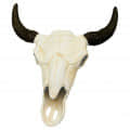 Wall Mounted Bull Skull Head (White) - top_view
