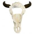 Wall Mounted Bull Skull Head (White) - rear_view
