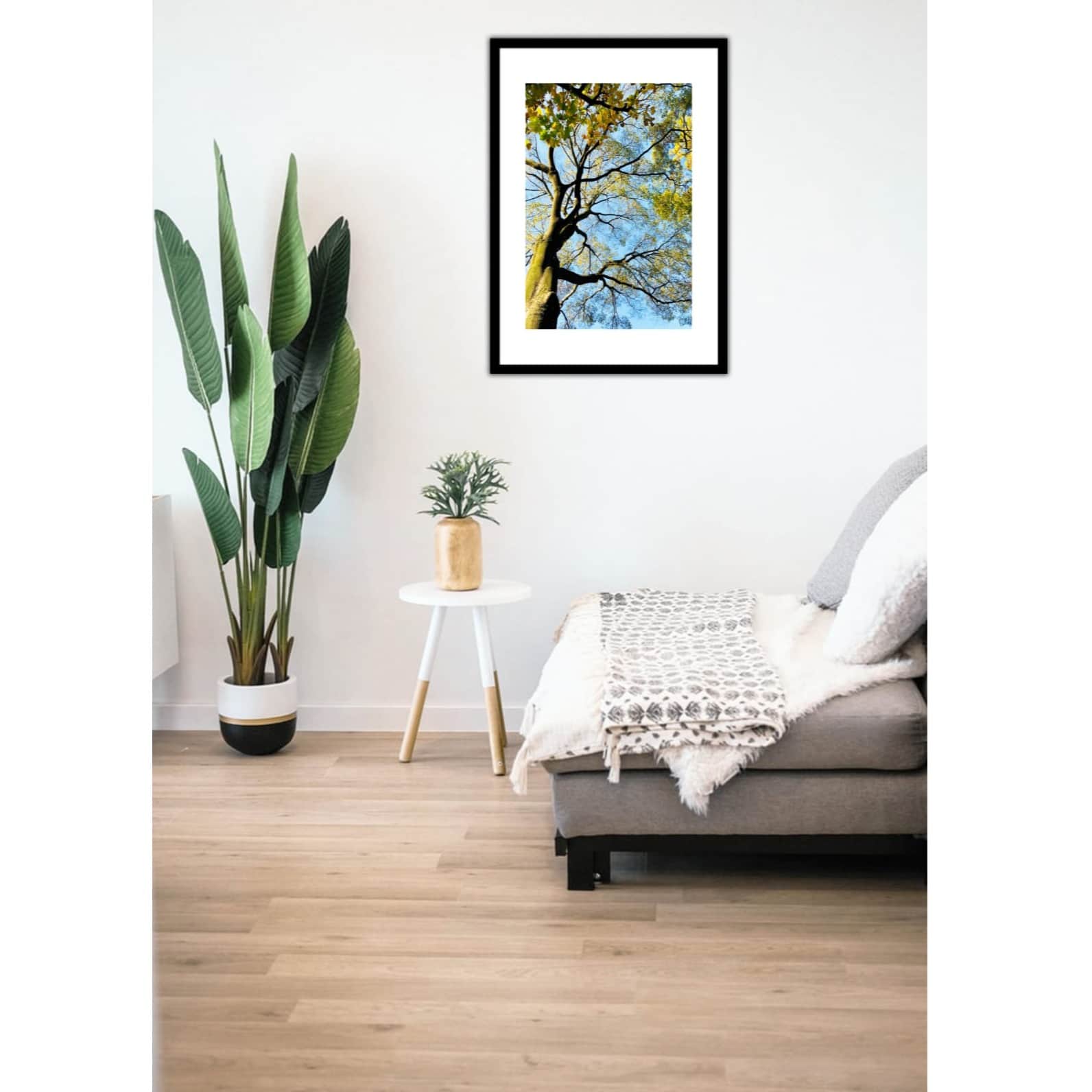 Tree Wide Shade Wall Poster 13 X 19 Inches Glass Framed - front_view