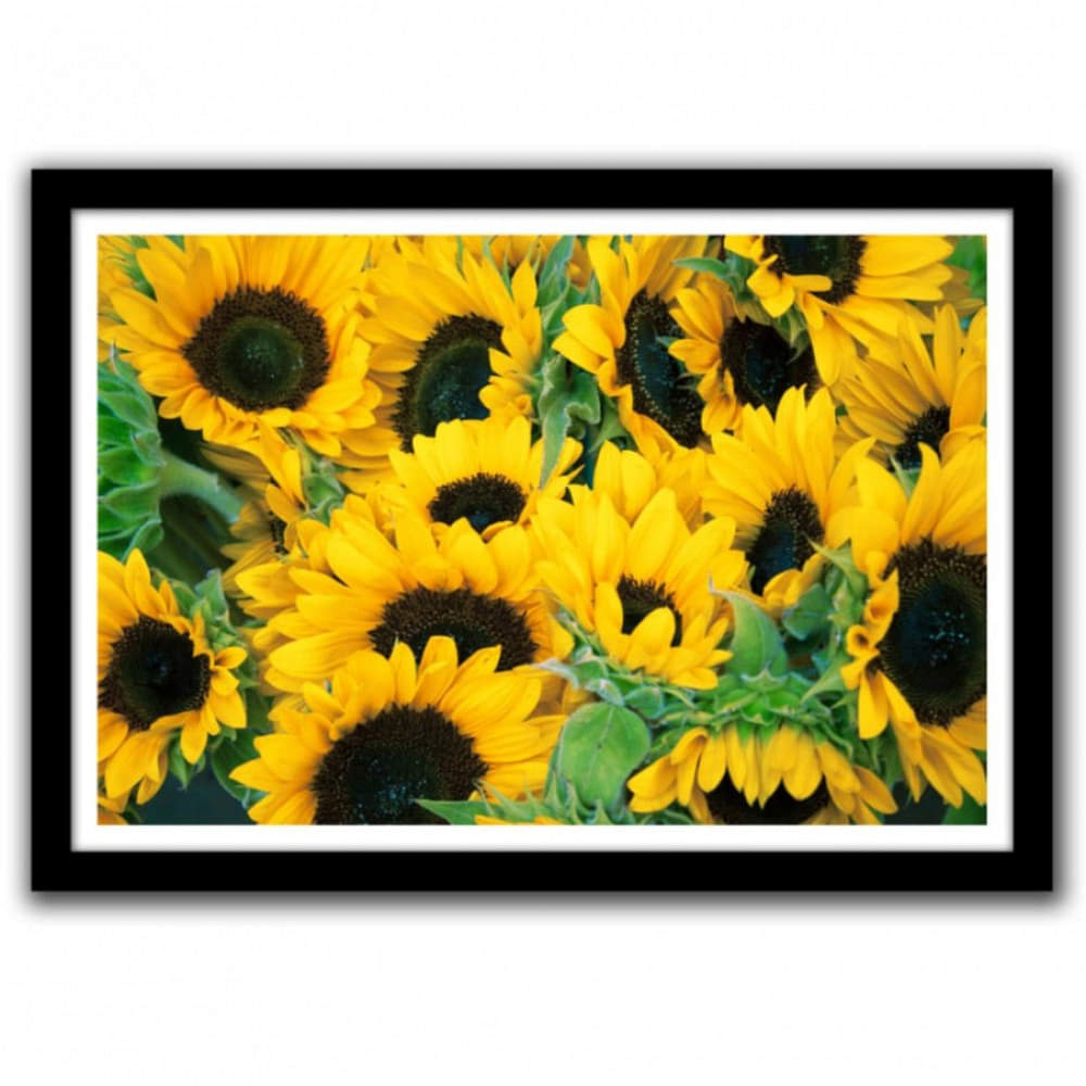 Sun Flower Glass Framed Wall Poster Large Size 13 X 19 INCHES - photo