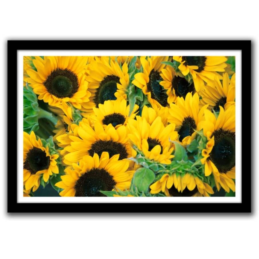 Sun Flower Glass Framed Wall Poster Large Size 13 X 19 INCHES