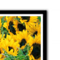 Sun Flower Glass Framed Wall Poster Large Size 13 X 19 INCHES - right_view