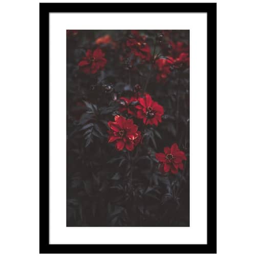 Blooming Petals Wall Poster Large Size Glass Framed