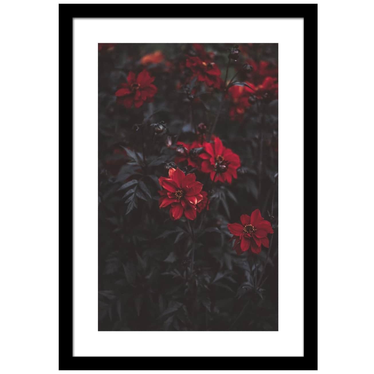 Blooming Petals Wall Poster Large Size Glass Framed - front_view