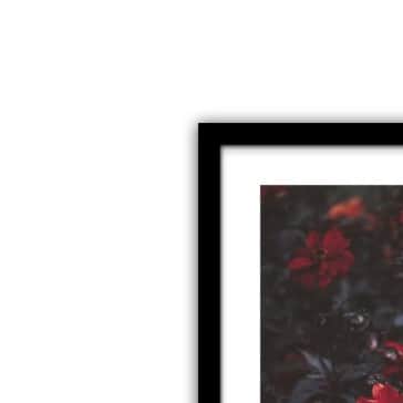 Blooming Petals Wall Poster Large Size Glass Framed - left_view