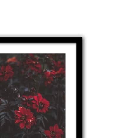 Blooming Petals Wall Poster Large Size Glass Framed - right_view