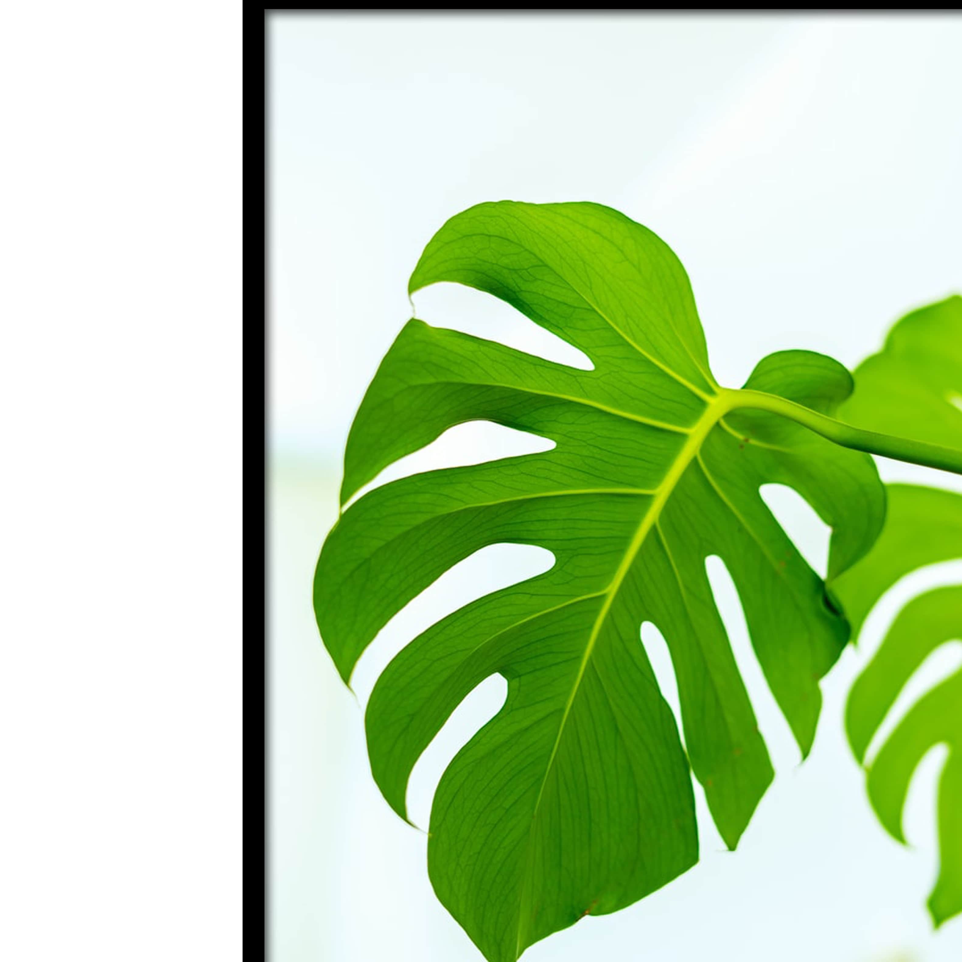 Palm Leaves  Poster With Glass Framed Wall Painting - rear_view