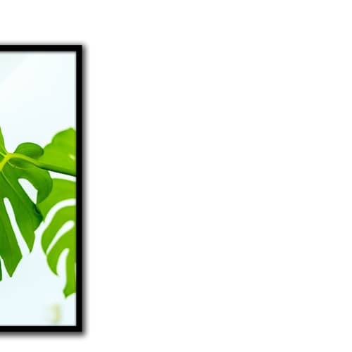 Palm Leaves  Poster With Glass Framed Wall Painting