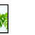 Palm Leaves  Poster With Glass Framed Wall Painting - left_view