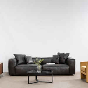 Buff Leather Sofa 2 seater (Black) - photo