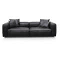 Buff Leather Sofa 2 seater (Black) - front_view