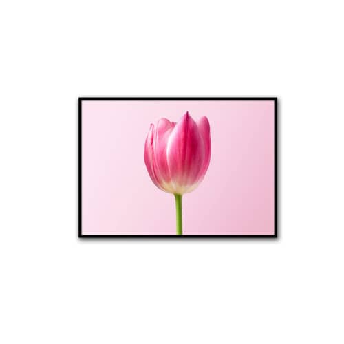 Royal Tulips Wall Poster Glass Framed Wall Painting