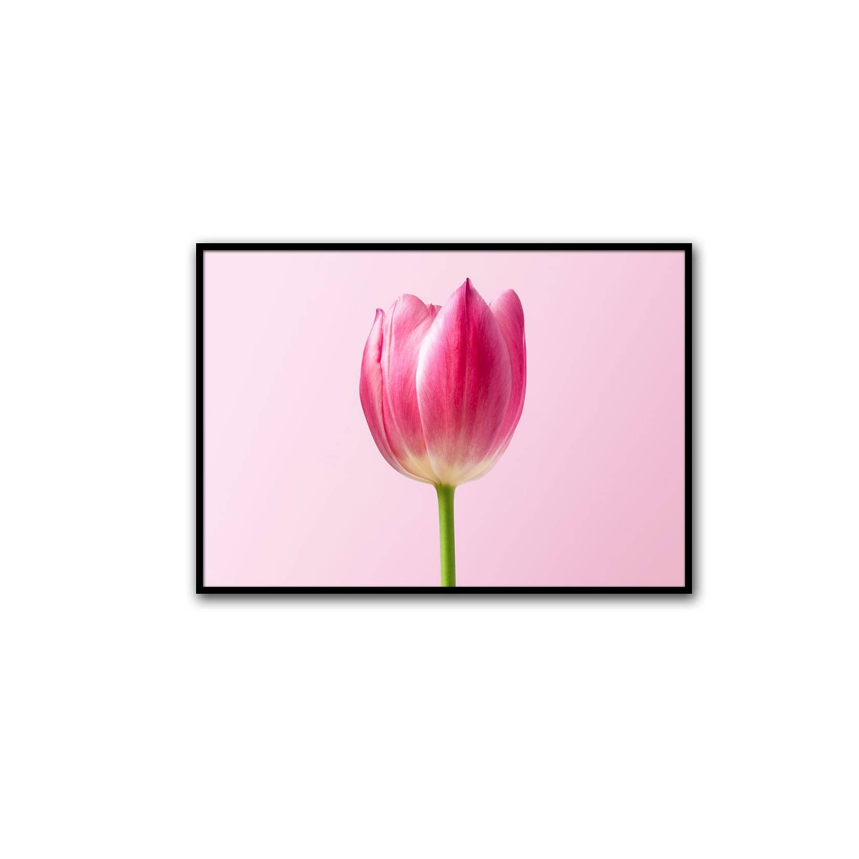 Royal Tulips Wall Poster Glass Framed Wall Painting