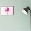 Royal Tulips Wall Poster Glass Framed Wall Painting - front_view