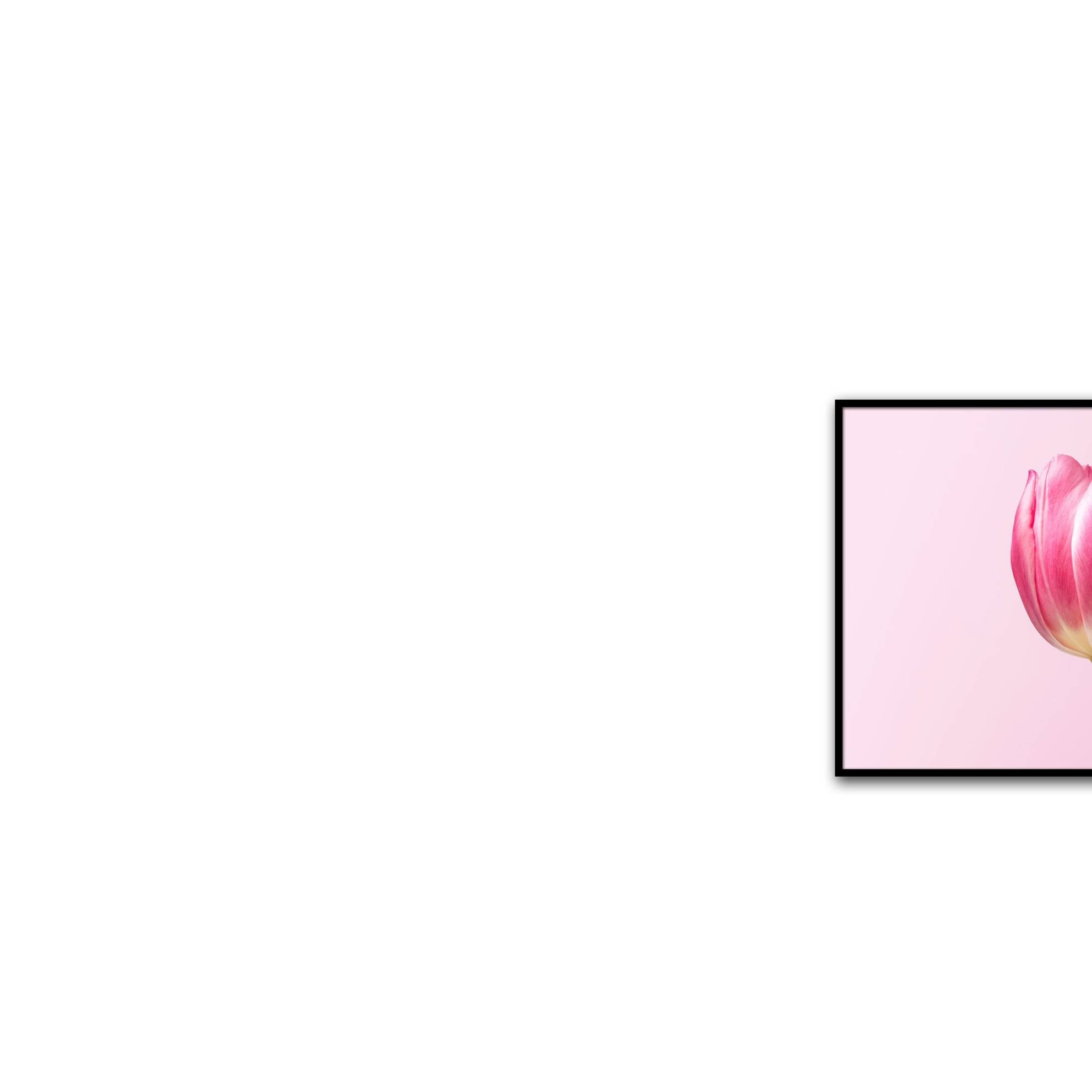 Royal Tulips Wall Poster Glass Framed Wall Painting