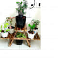 Plant Stand with 3 Decks - top_view