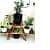 Plant Stand with 3 Decks - top_view
