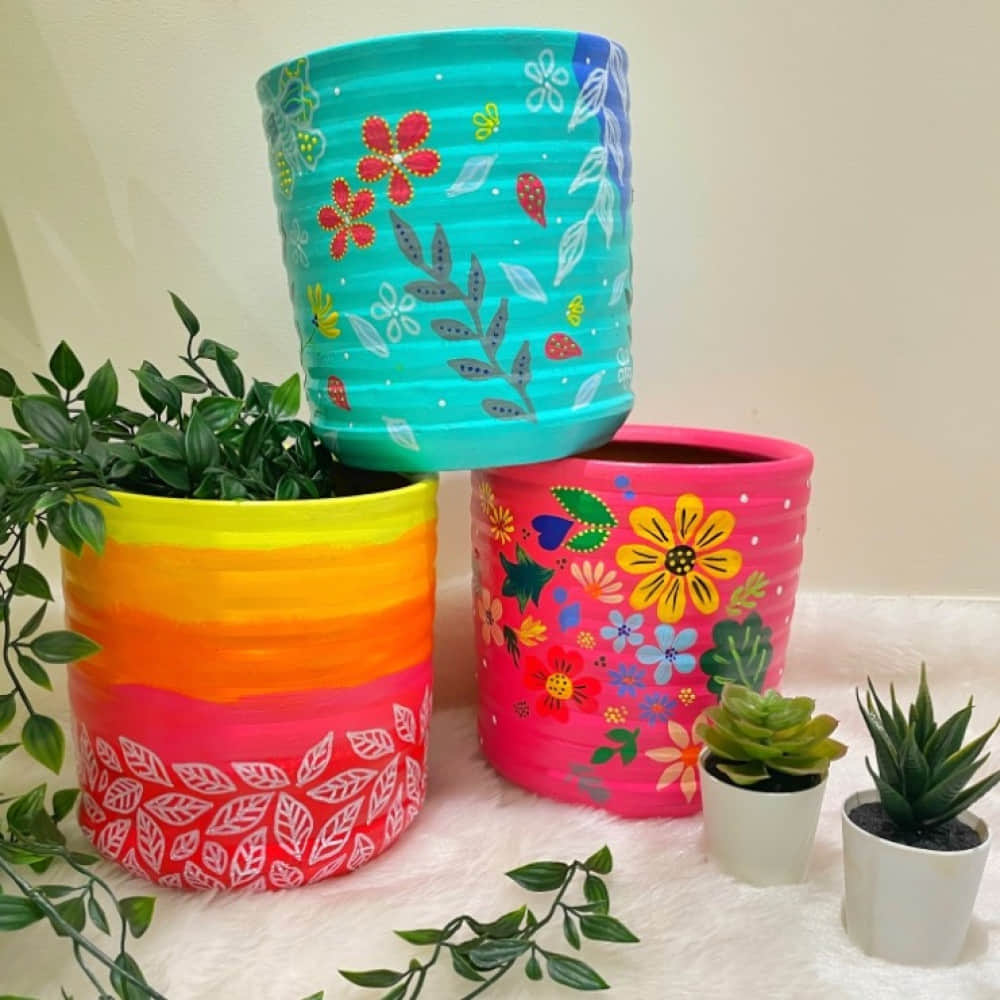 Colourful Planters - photo