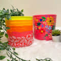 Colourful Planters - top_view