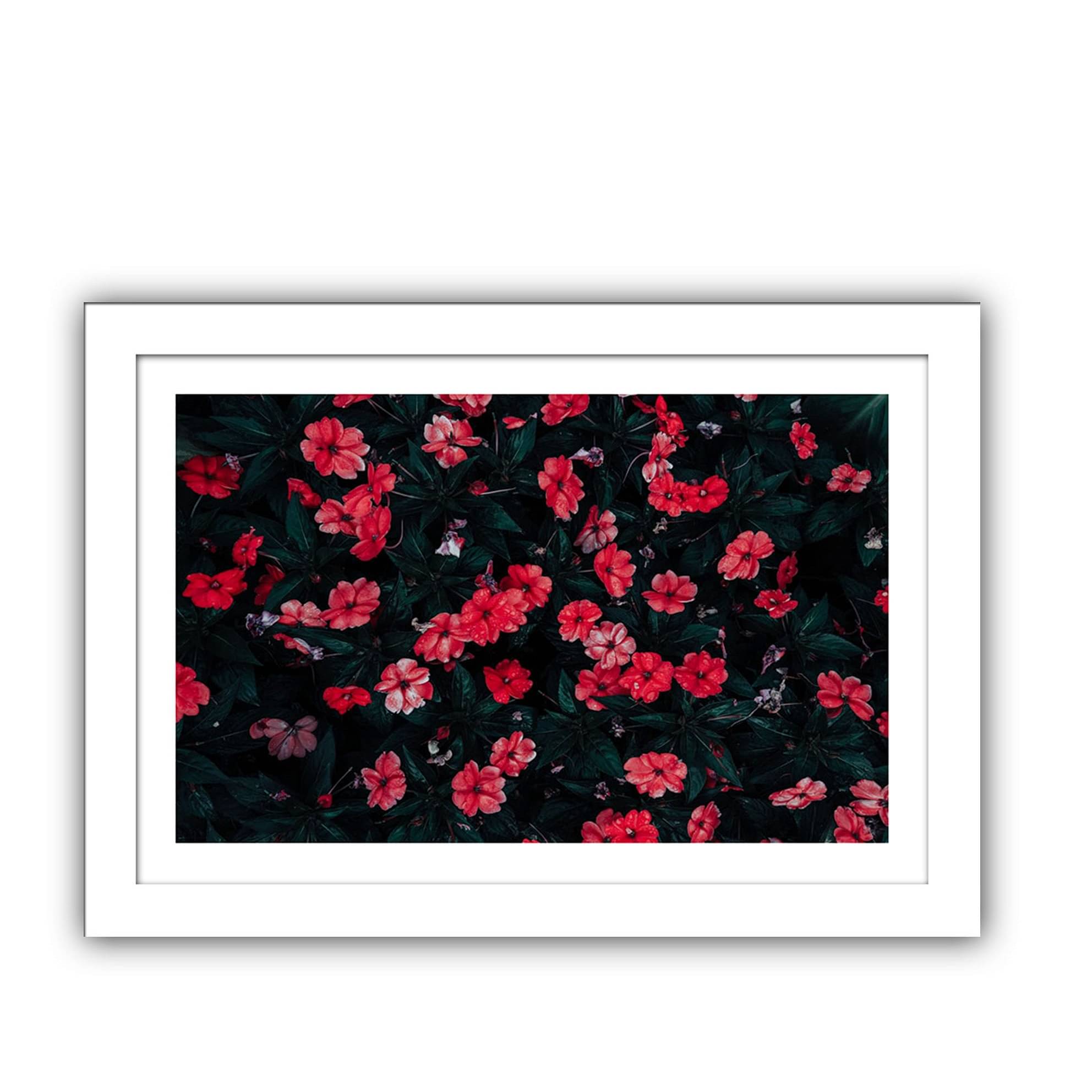 Springs in Sweden Wall Poster