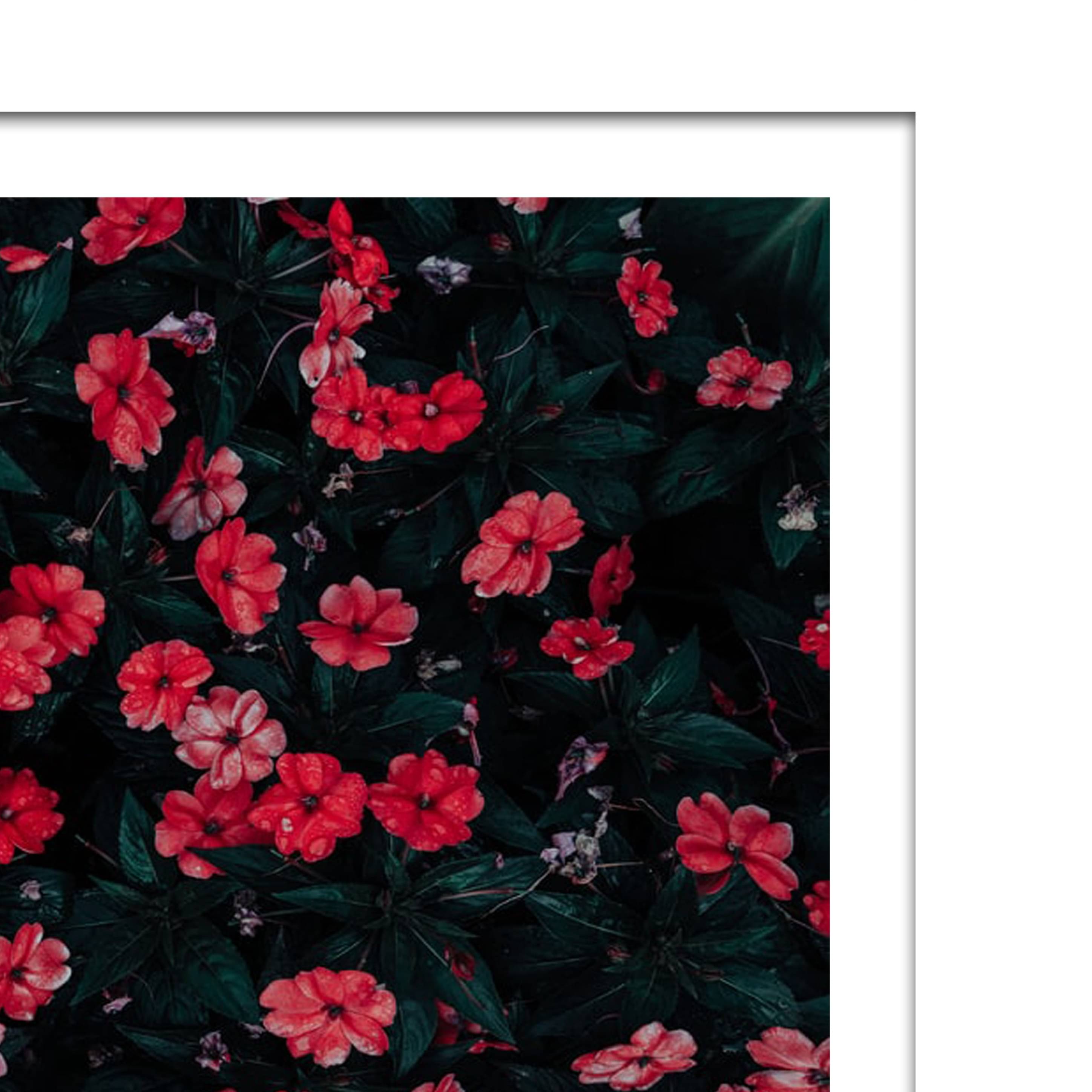 Springs in Sweden Wall Poster