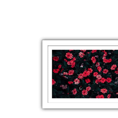Springs in Sweden Wall Poster