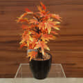 Polyester Artificial Plant with Pot For Home Decoration - photo