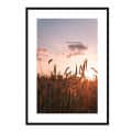 Maze Field Wall Poster Wall Art - photo