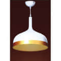 Indoor Hanging Light Warm White LSL207 - photo