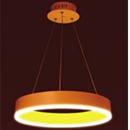 Indoor Hanging Light Warm White LHL301