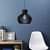 Black Metal Single Hanging Light- RA-401-HL-BK - Without Bulb - top_view