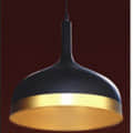 Indoor Hanging Light (Matt Black & Gold) E27 Holder ( Without Lamp ) - photo