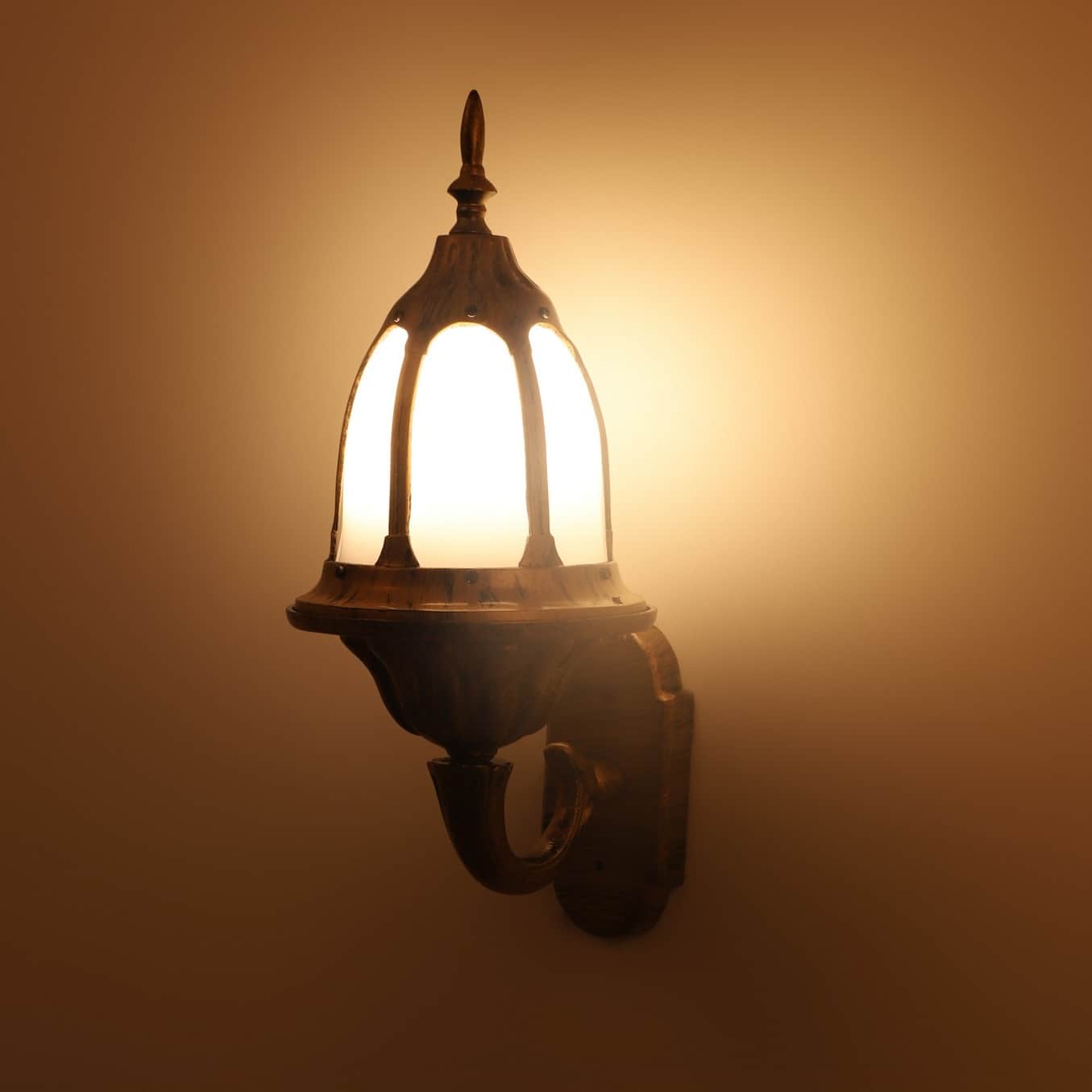 Antique Brass Metal Outdoor Wall Light -without Bulb - rear_view