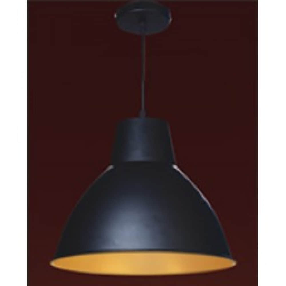 12 W Indoor Hanging Light LHL203 - photo