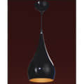 Hanging Lamp LSL211-1 - photo