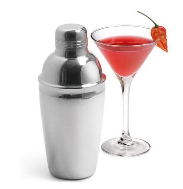 Cocktail Shaker - rear_view