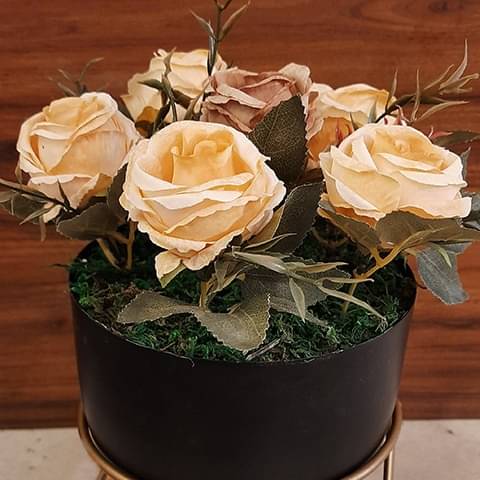 Indoor Metal Planter with Zig zag Stand