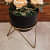 Indoor Metal Planter with Zig zag Stand - left_view