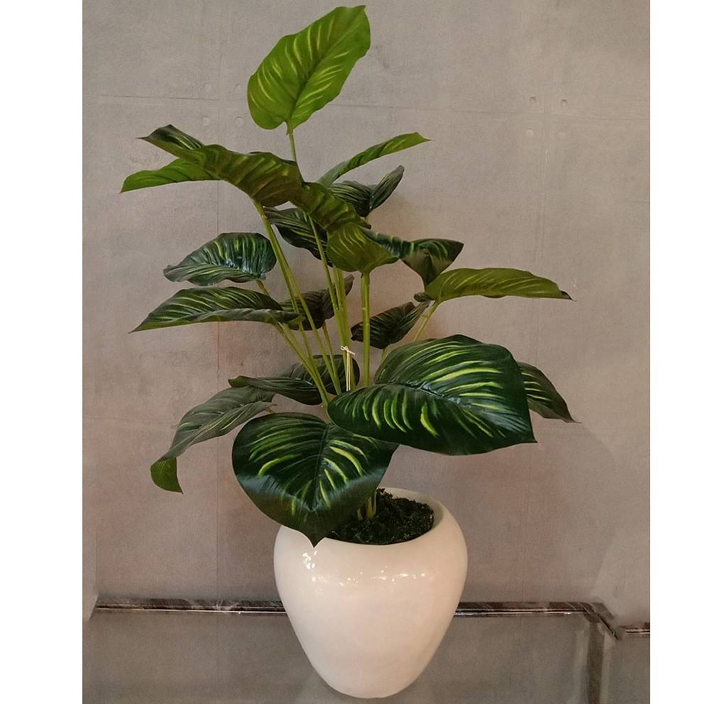 White Pot with Green Plant Planter