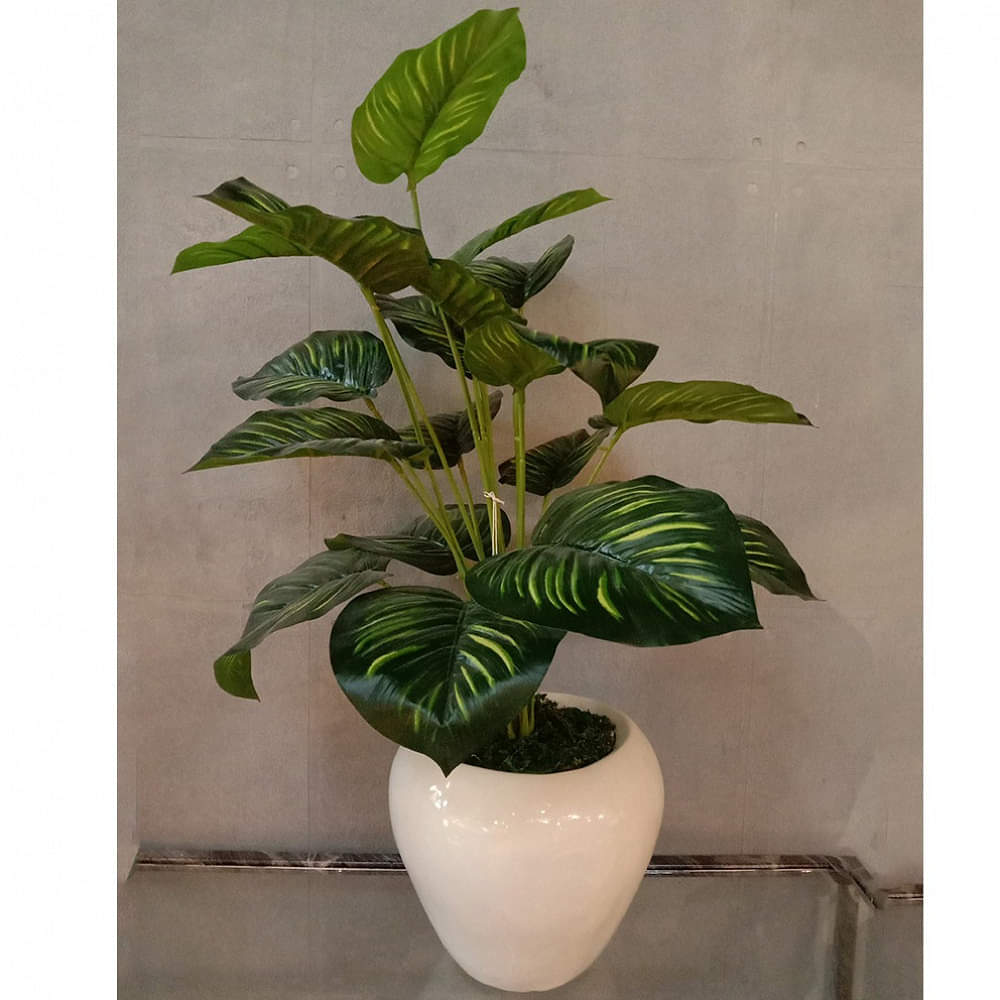 White Pot with Green Plant Planter - photo