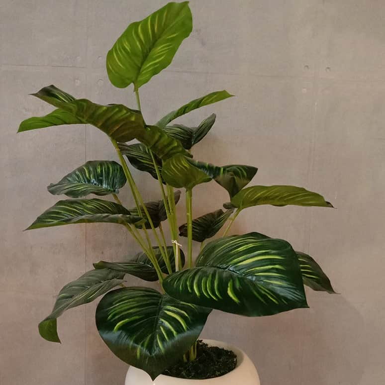 White Pot with Green Plant Planter - front_view