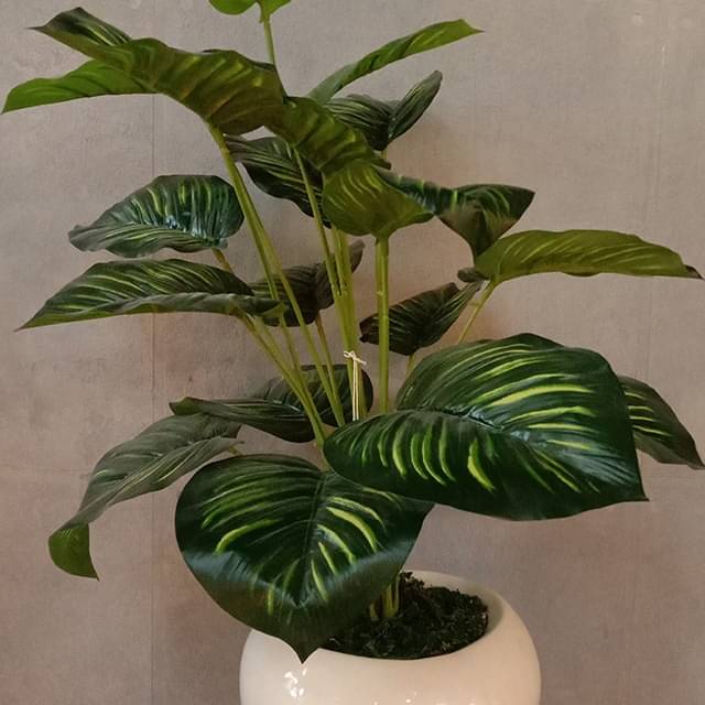 White Pot with Green Plant Planter