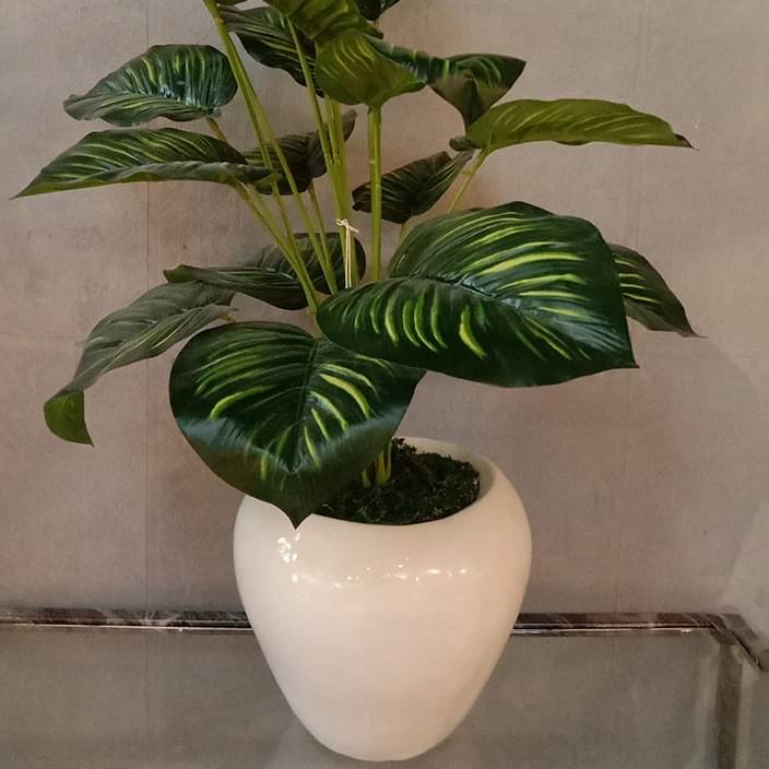 White Pot with Green Plant Planter