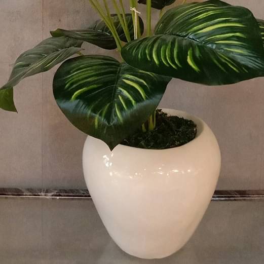 White Pot with Green Plant Planter