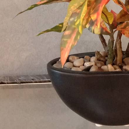 Black Pot with Colourful Plant