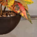 Black Pot with Colourful Plant - right_view