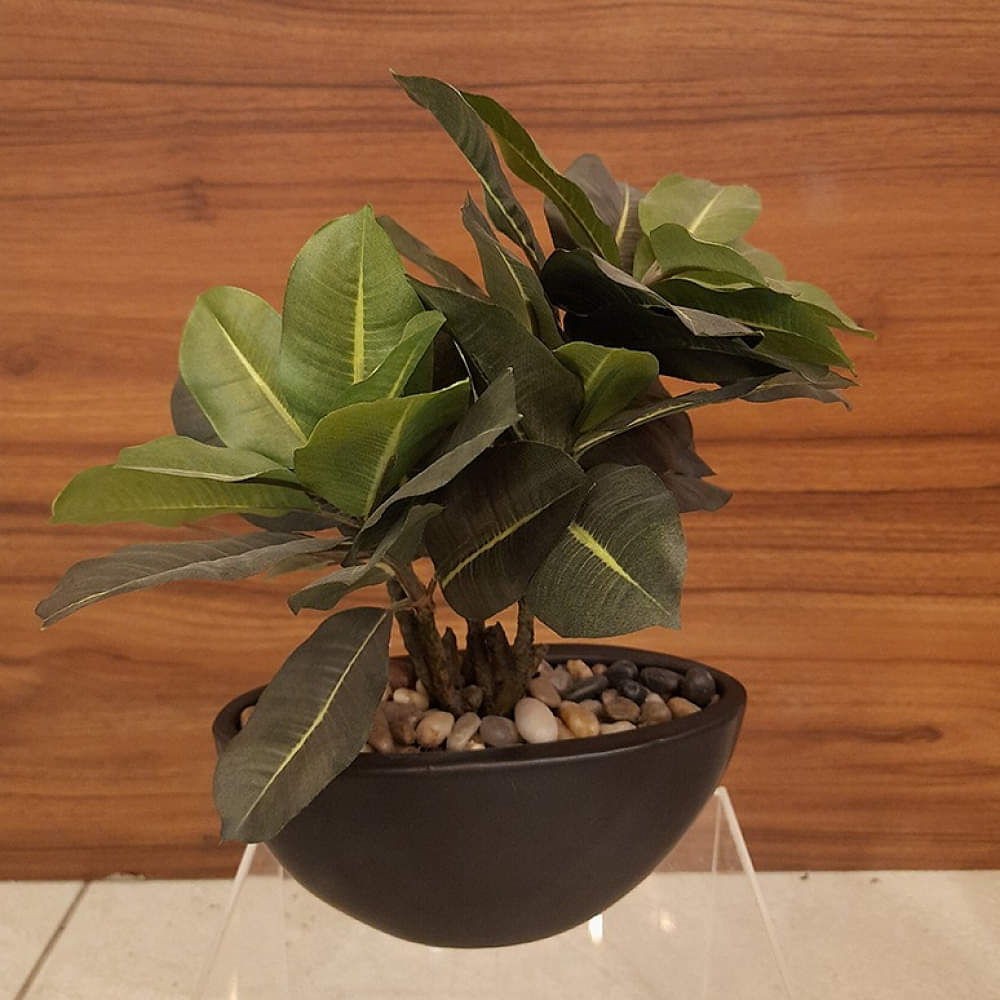 Black Round Table Pot with Plant - photo