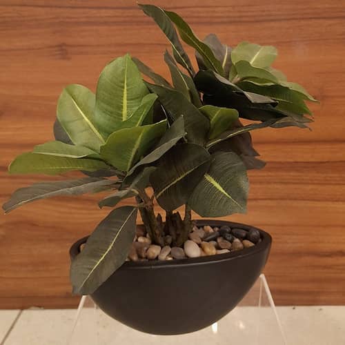 Black Round Table Pot with Plant